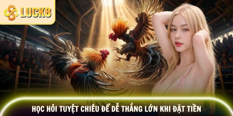 Học hỏi tuyệt chiêu để dễ thắng lớn khi đặt tiền