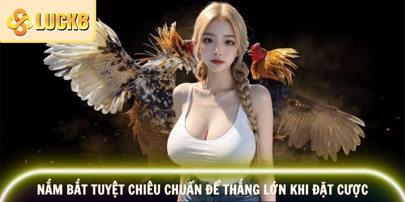 Gà Nòi LUCK8 – Đỉnh Cao Của Đá Gà Đòn 2025 3 Nắm bắt tuyệt chiêu chuẩn để thắng lớn khi đặt cược