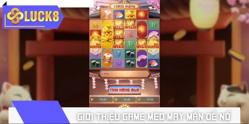 Giới thiệu slot game Mèo May Mắn Dễ Nổ