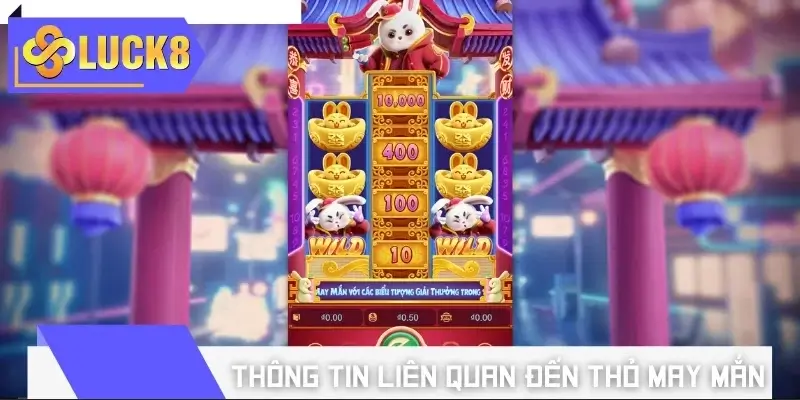 Tìm hiểu một số thông tin liên quan đến Thỏ May Mắn