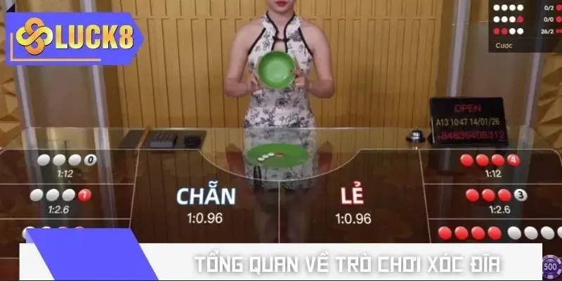 Xóc Đĩa là tựa game cá cược quen thuộc tại Việt Nam